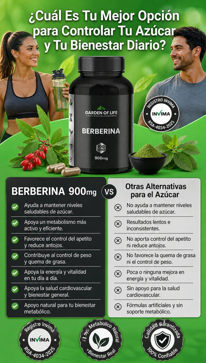 Berberine Garden of life